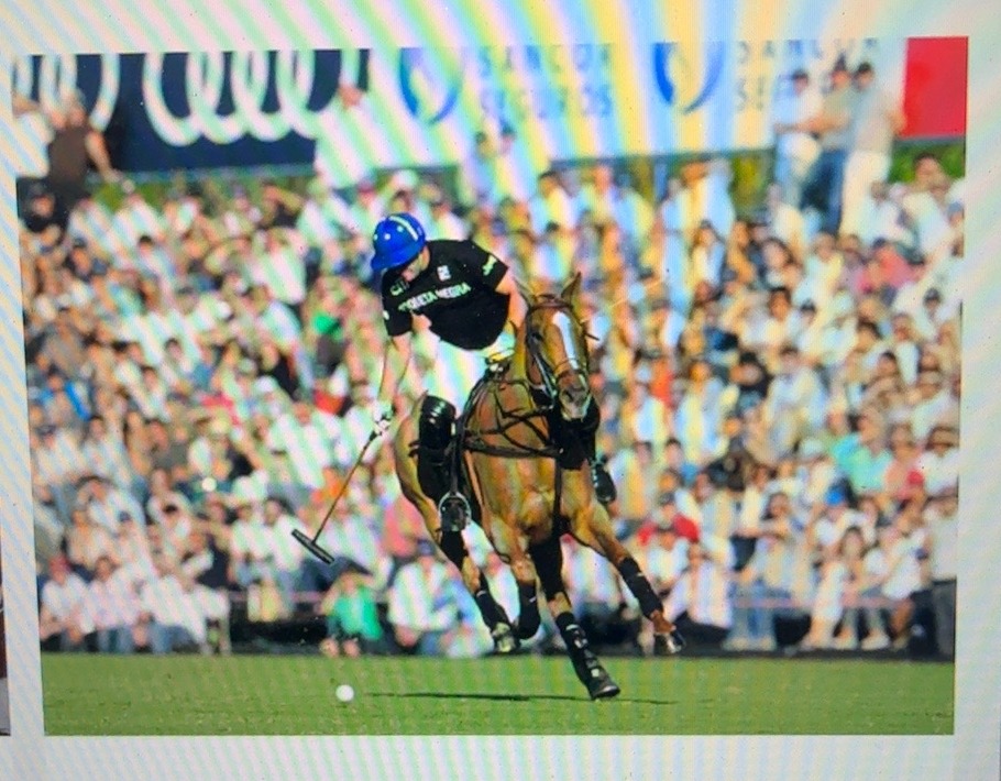 Polo action photograph